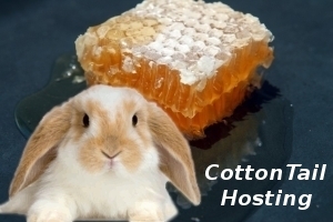 CottonTail Hosting Services